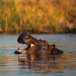 Sharwimbo Adventure Lodge | Namibia